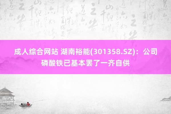 成人综合网站 湖南裕能(301358.SZ)：公司磷酸铁已基本罢了一齐自供