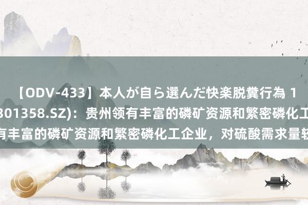 【ODV-433】本人が自ら選んだ快楽脱糞行為 1 神崎まゆみ 湖南裕能(301358.SZ)：贵州领有丰富的磷矿资源和繁密磷化工企业，对硫酸需求量较大