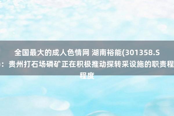 全国最大的成人色情网 湖南裕能(301358.SZ)：贵州打石场磷矿正在积极推动探转采设施的职责程度