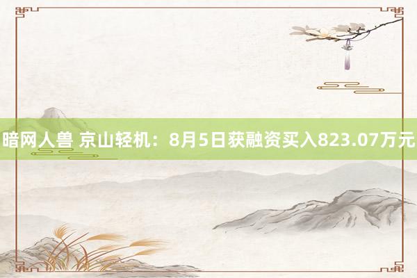 暗网人兽 京山轻机：8月5日获融资买入823.07万元