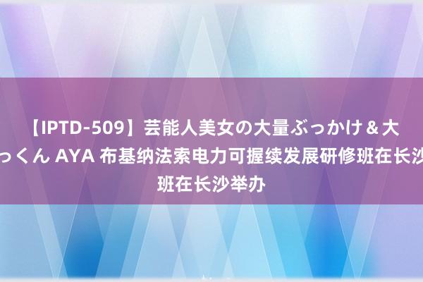 【IPTD-509】芸能人美女の大量ぶっかけ＆大量ごっくん AYA 布基纳法索电力可握续发展研修班在长沙举办