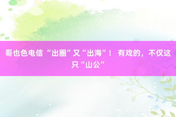 哥也色电信 “出圈”又“出海”！ 有戏的，不仅这只“山公”