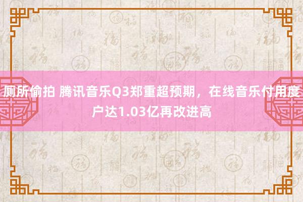 厕所偷拍 腾讯音乐Q3郑重超预期，在线音乐付用度户达1.03亿再改进高